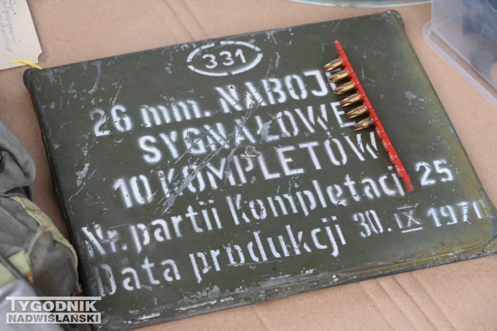 Pchli targ w Tarnobrzegu - październik