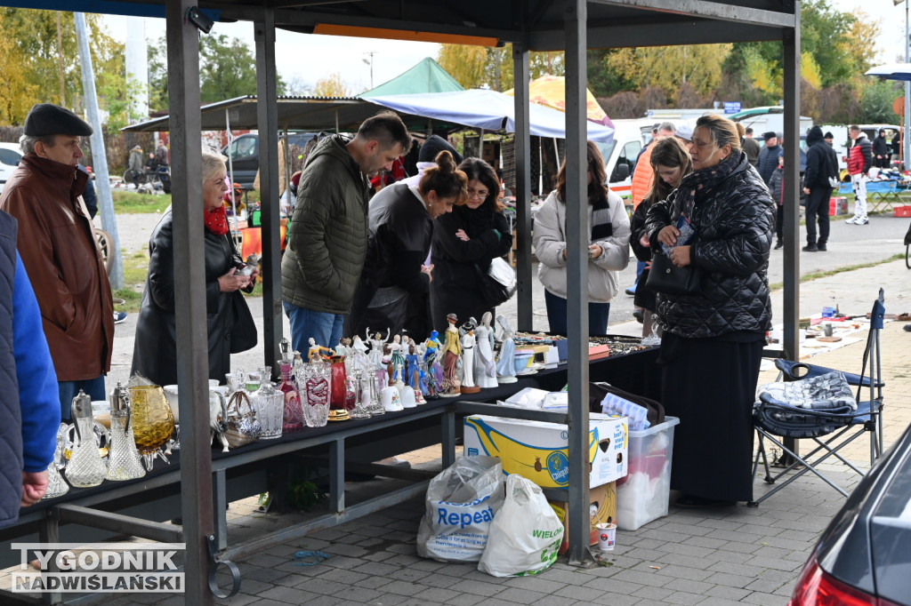 Pchli targ w Tarnobrzegu - październik