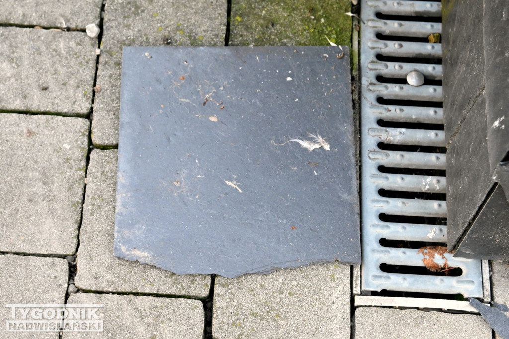 Szalet Miejski w Tarnobrzegu jest deficytowy