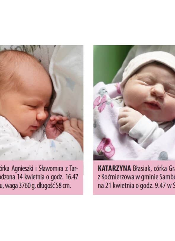 Zdjęcie