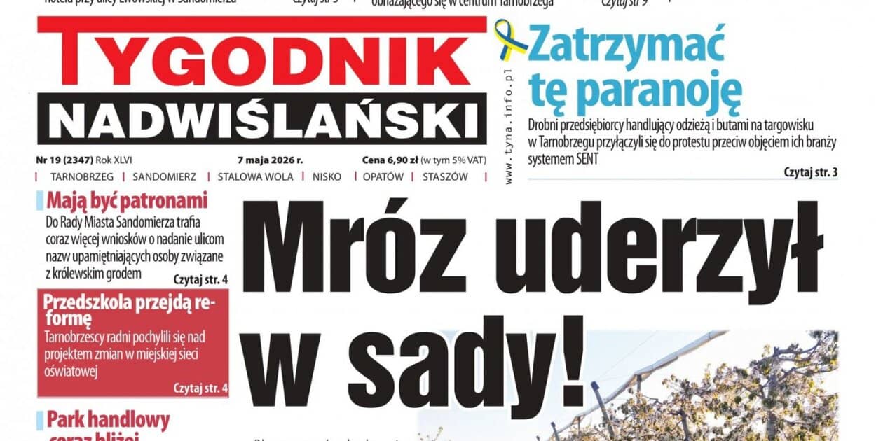 Zdjęcie