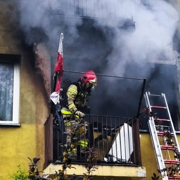 Zdjęcie