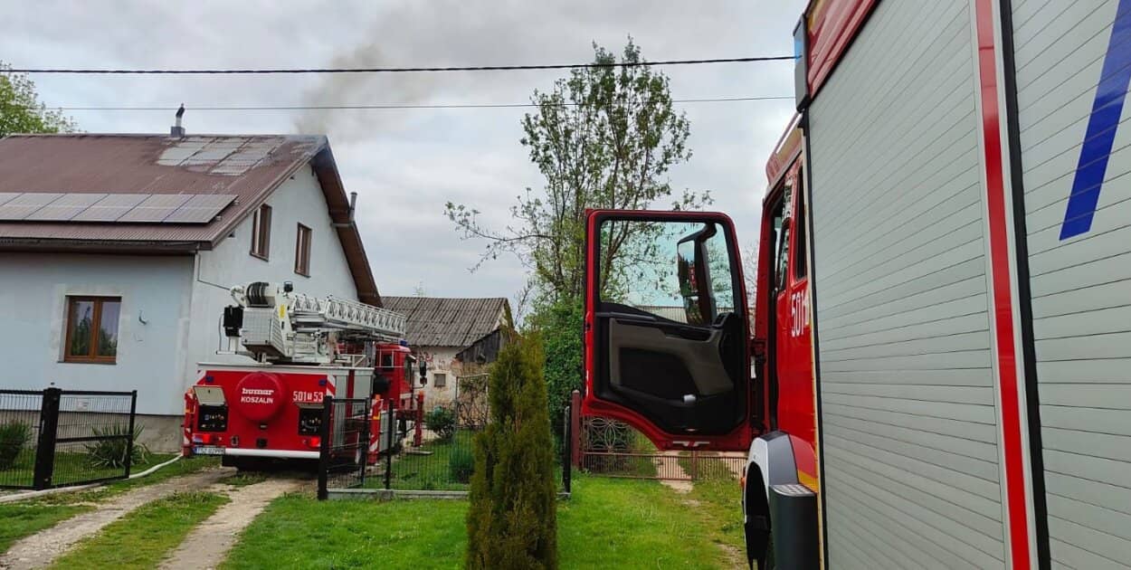 Zdjęcie