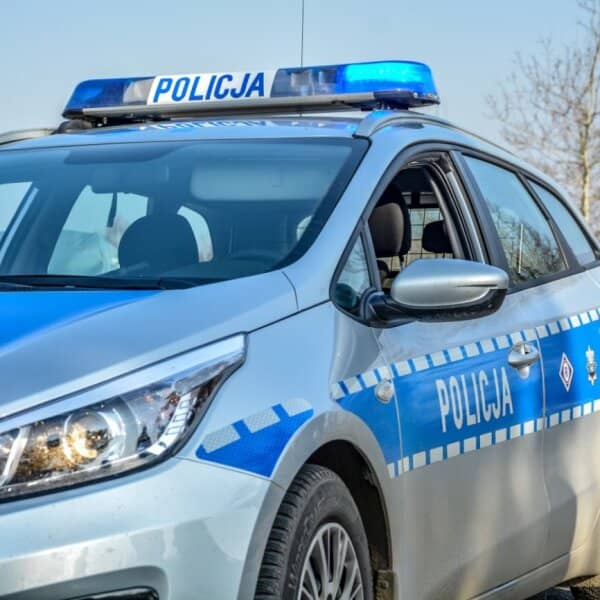 Zdjęcie