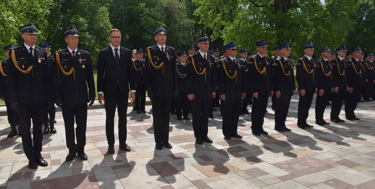 Zdjęcie