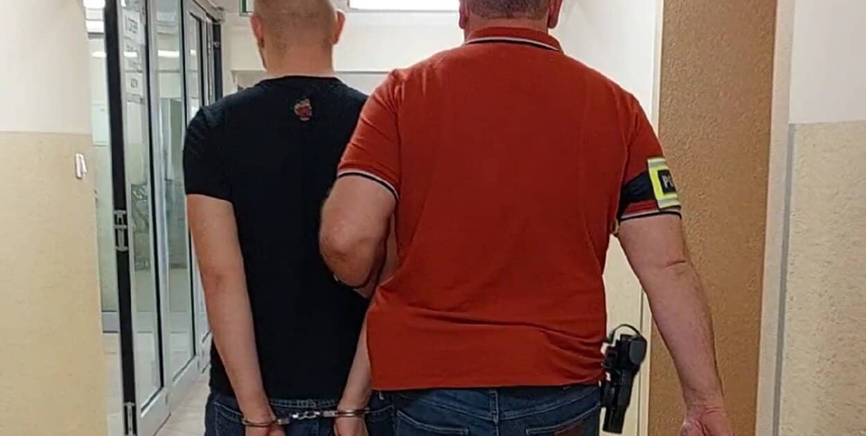 Zdjęcie