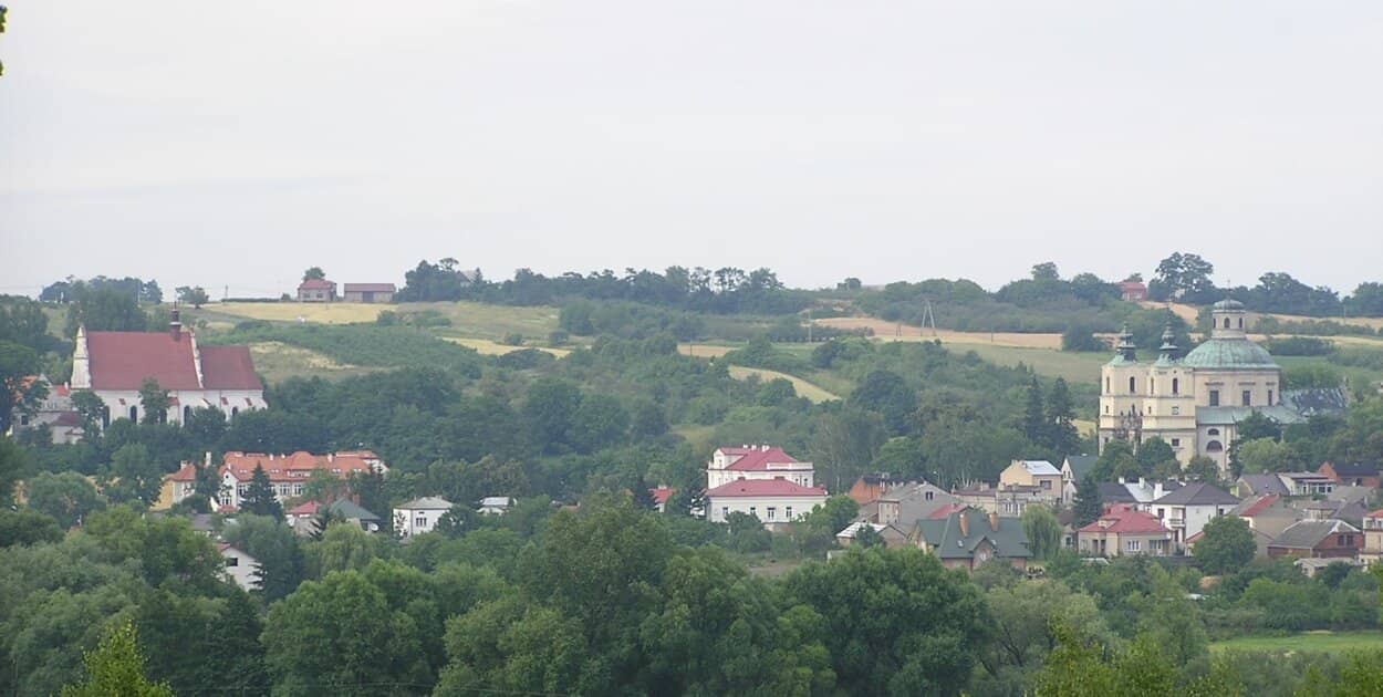 Zdjęcie