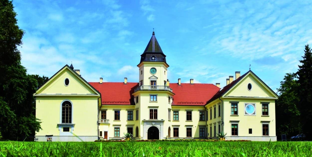 Zdjęcie