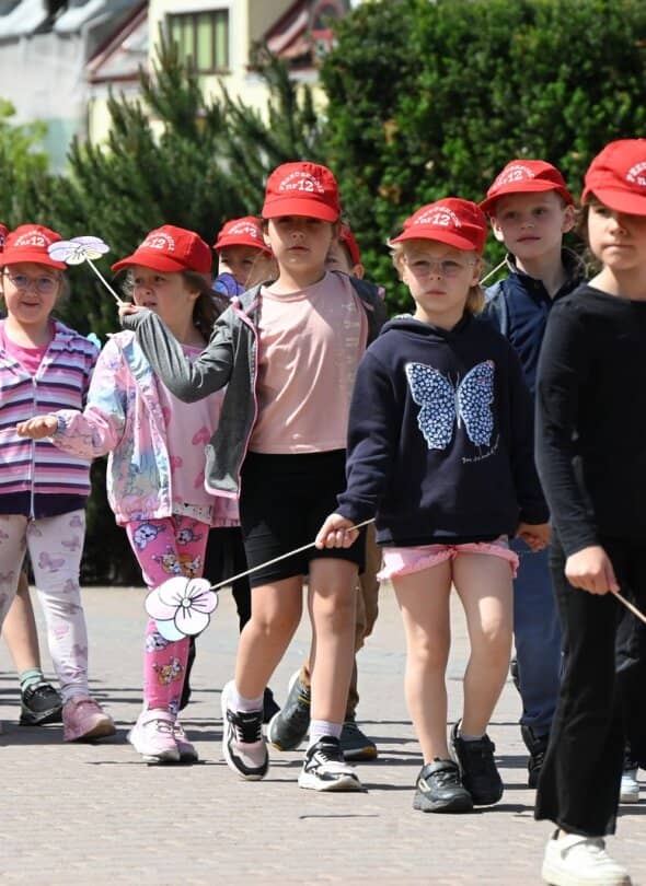 Zdjęcie