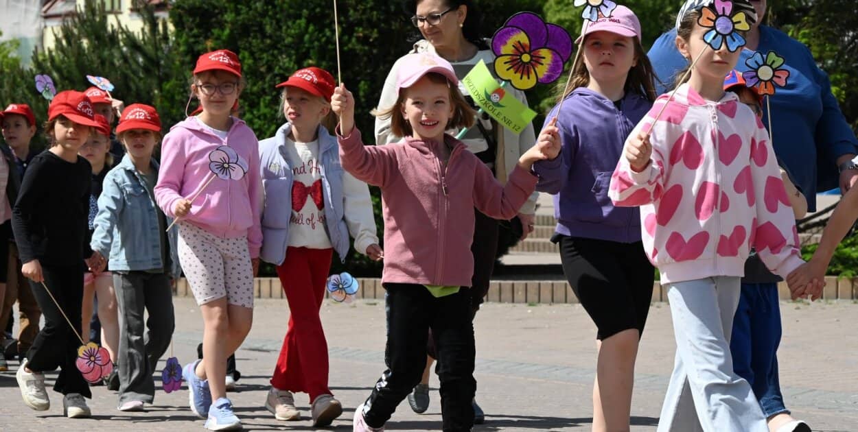 Zdjęcie