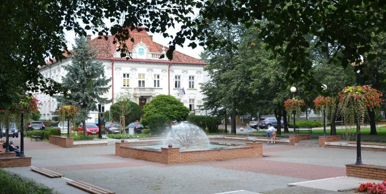 Zdjęcie
