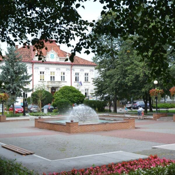 Zdjęcie