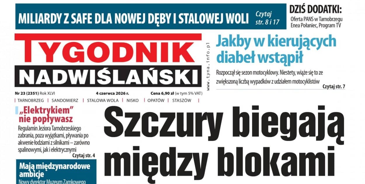 Zdjęcie