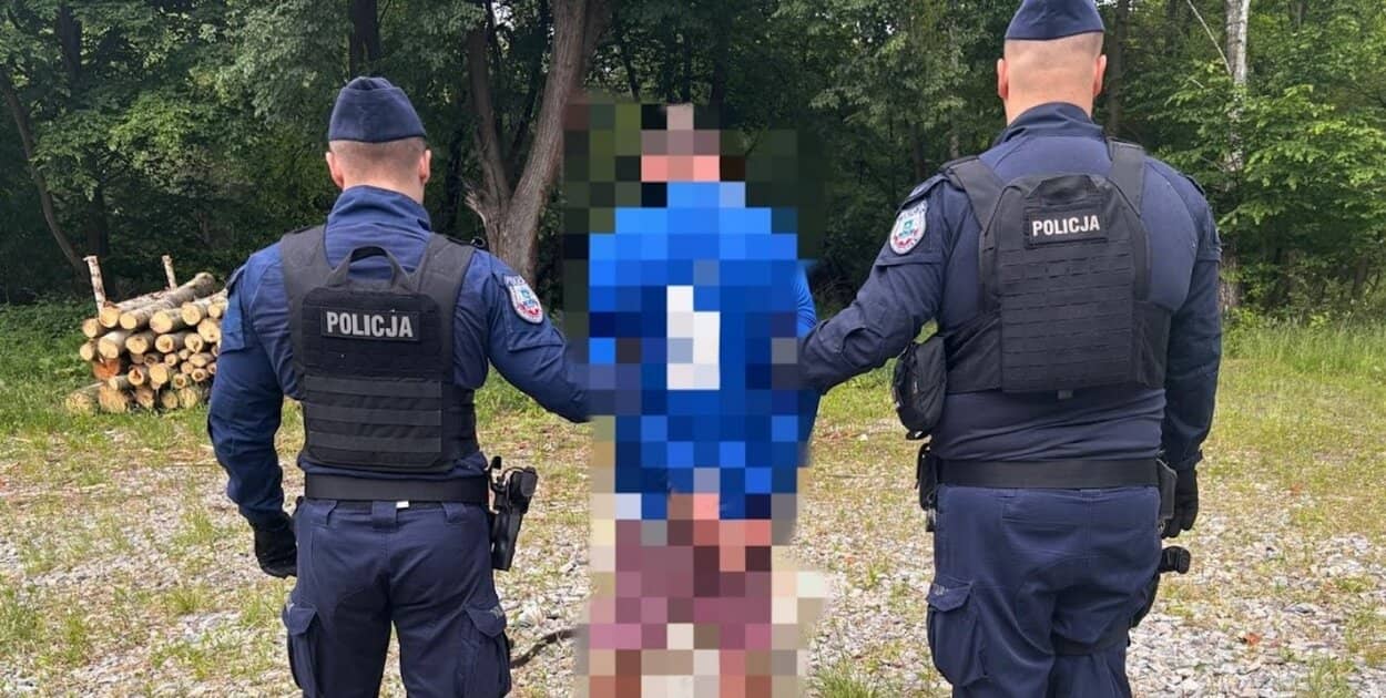Zdjęcie