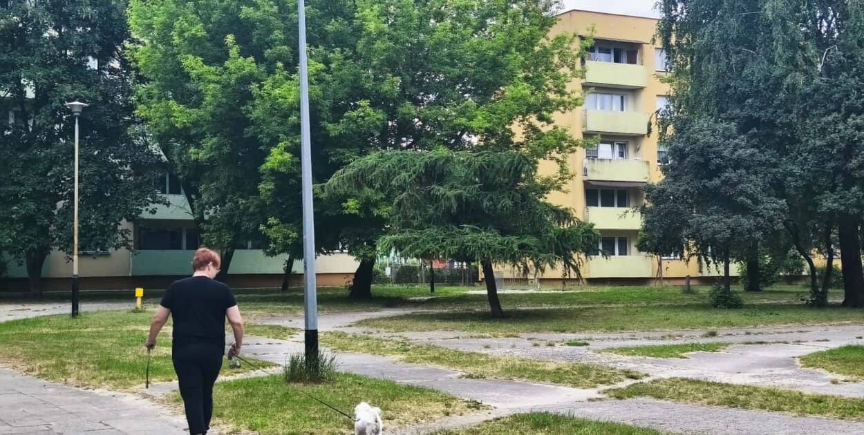 Zdjęcie
