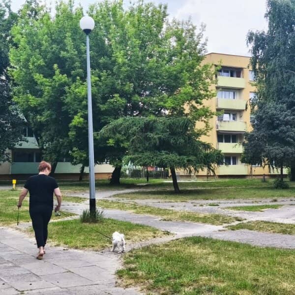 Zdjęcie