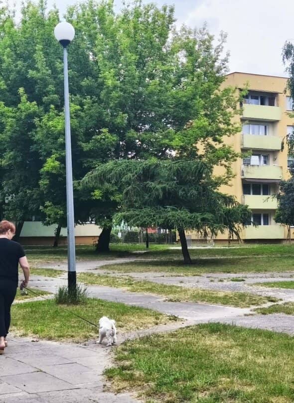 Zdjęcie