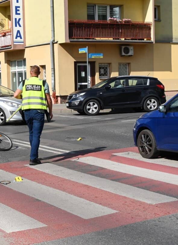 Zdjęcie