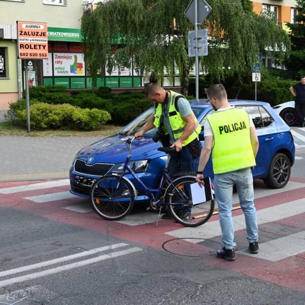 Zdjęcie