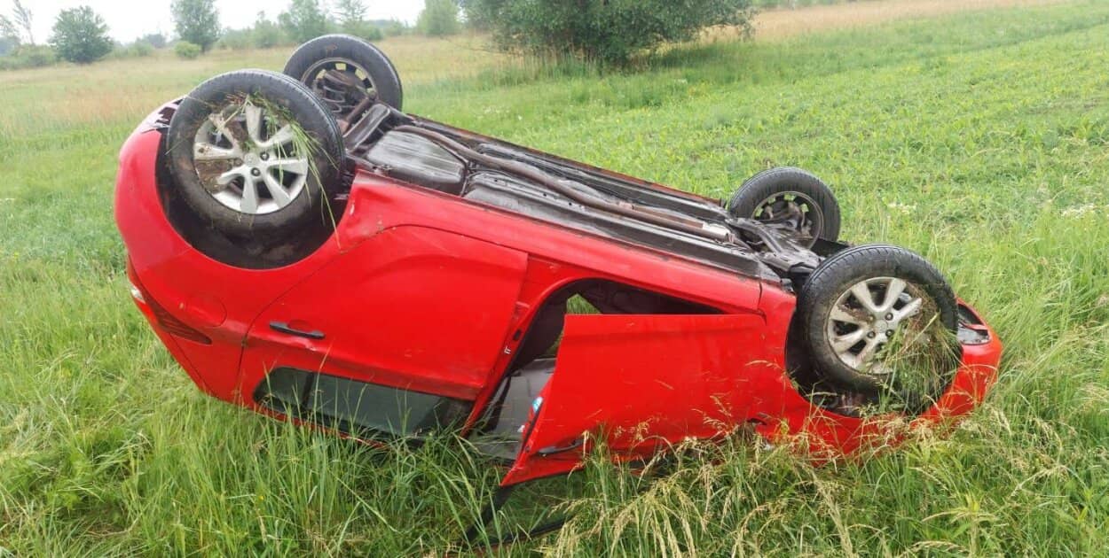 Zdjęcie