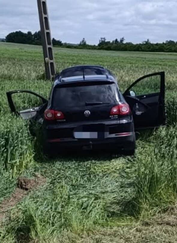 Zdjęcie