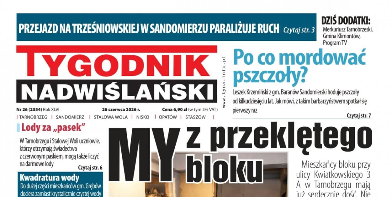 Zdjęcie