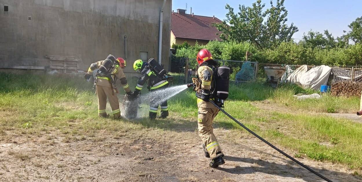 Zdjęcie