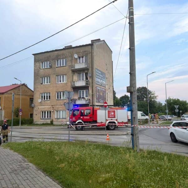 Zdjęcie