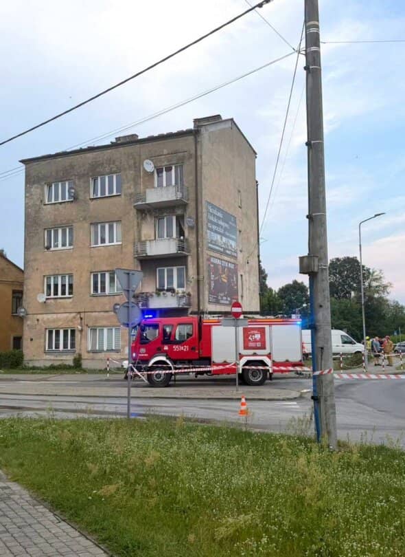 Zdjęcie