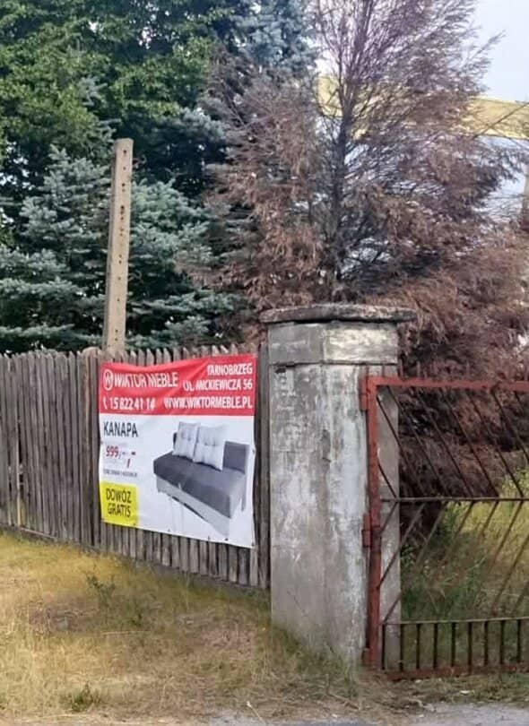Zdjęcie