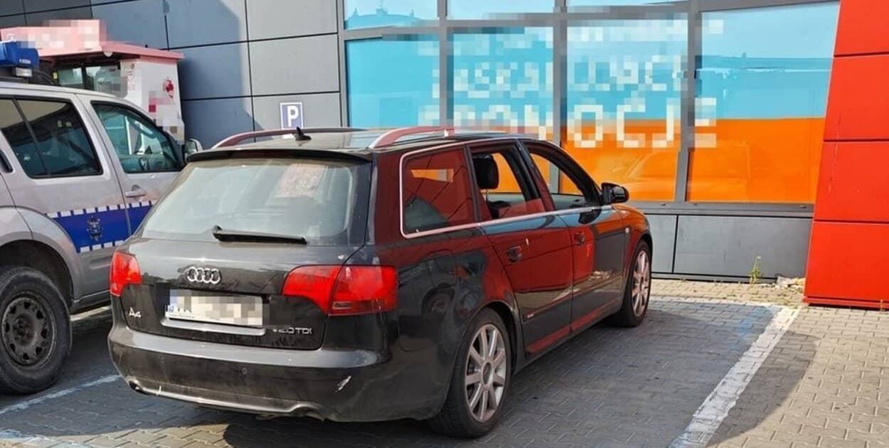 Zdjęcie