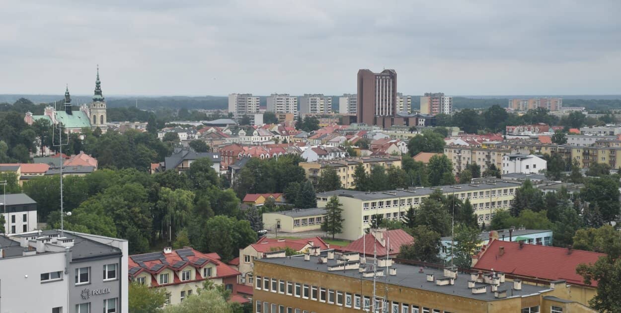 Zdjęcie