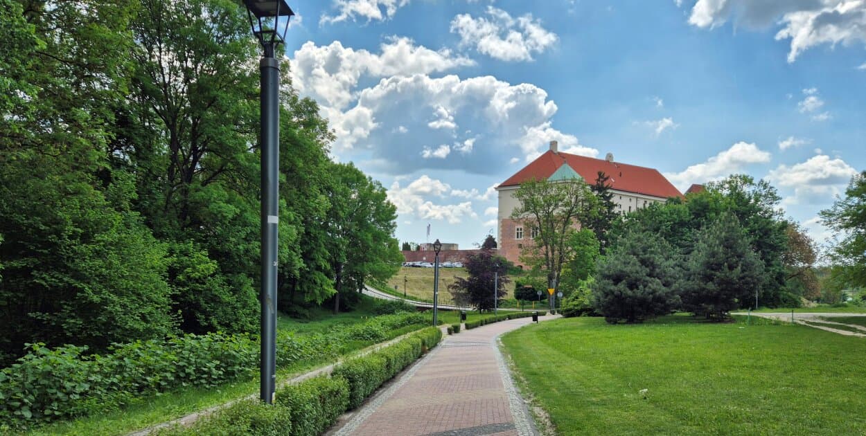 Zdjęcie