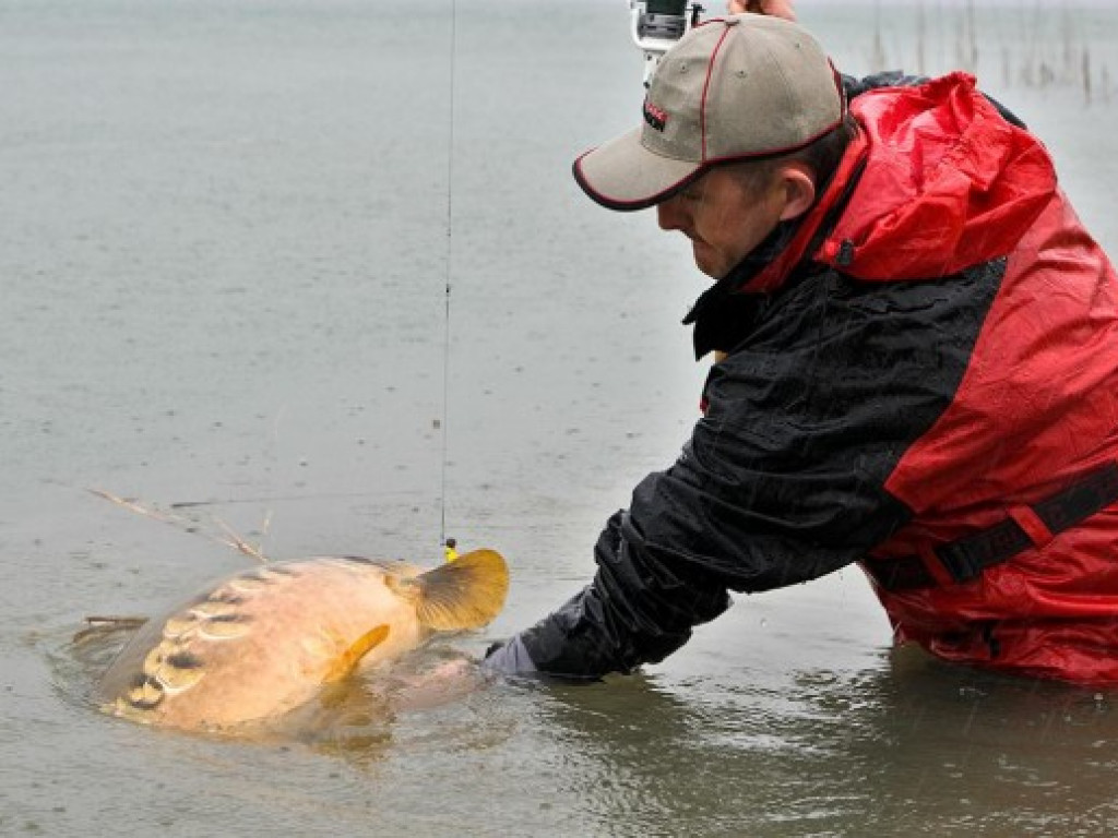 Gigant z jeziora [ZDJĘCIA]