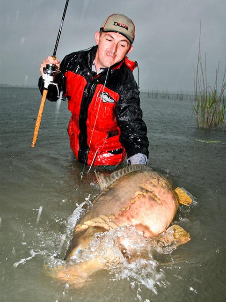 Gigant z jeziora [ZDJĘCIA]