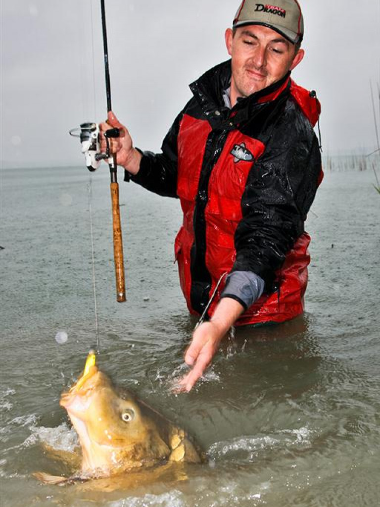 Gigant z jeziora [ZDJĘCIA]