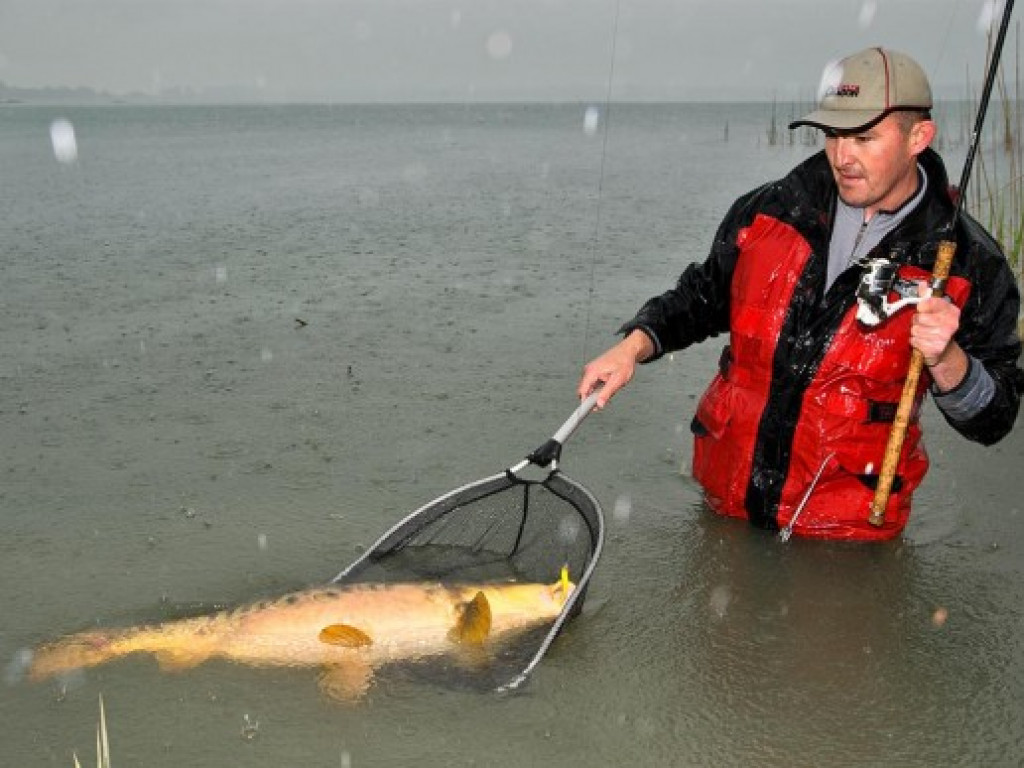 Gigant z jeziora [ZDJĘCIA]