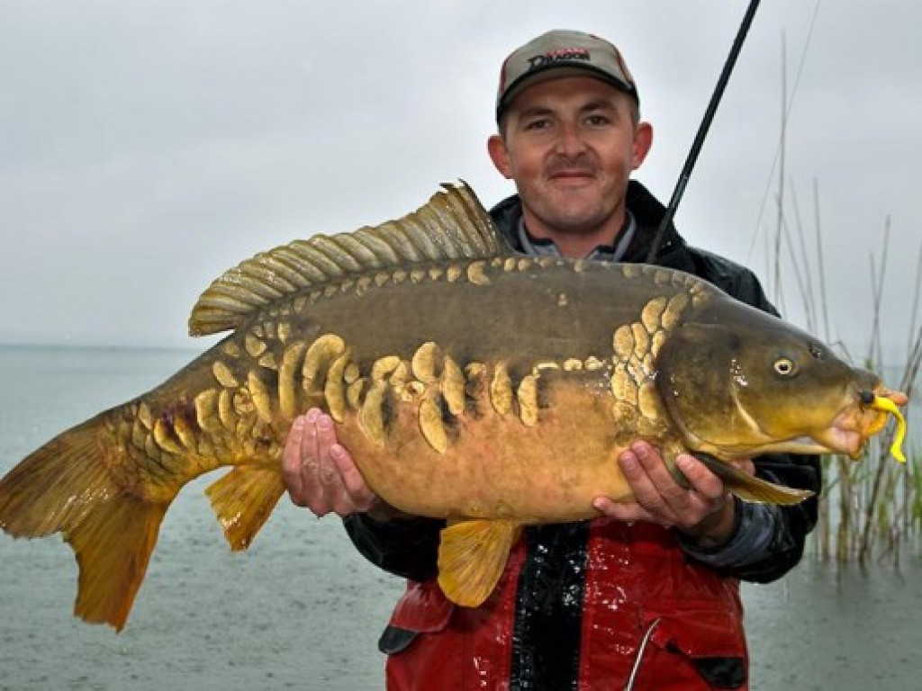 Gigant z jeziora [ZDJĘCIA]