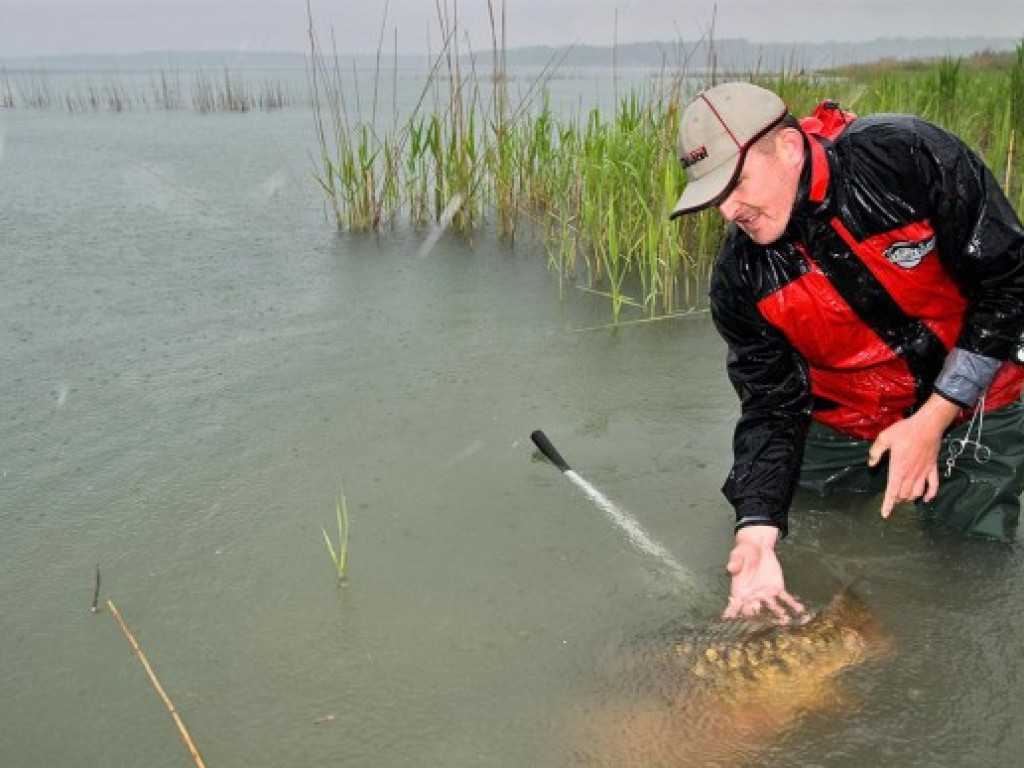 Gigant z jeziora [ZDJĘCIA]