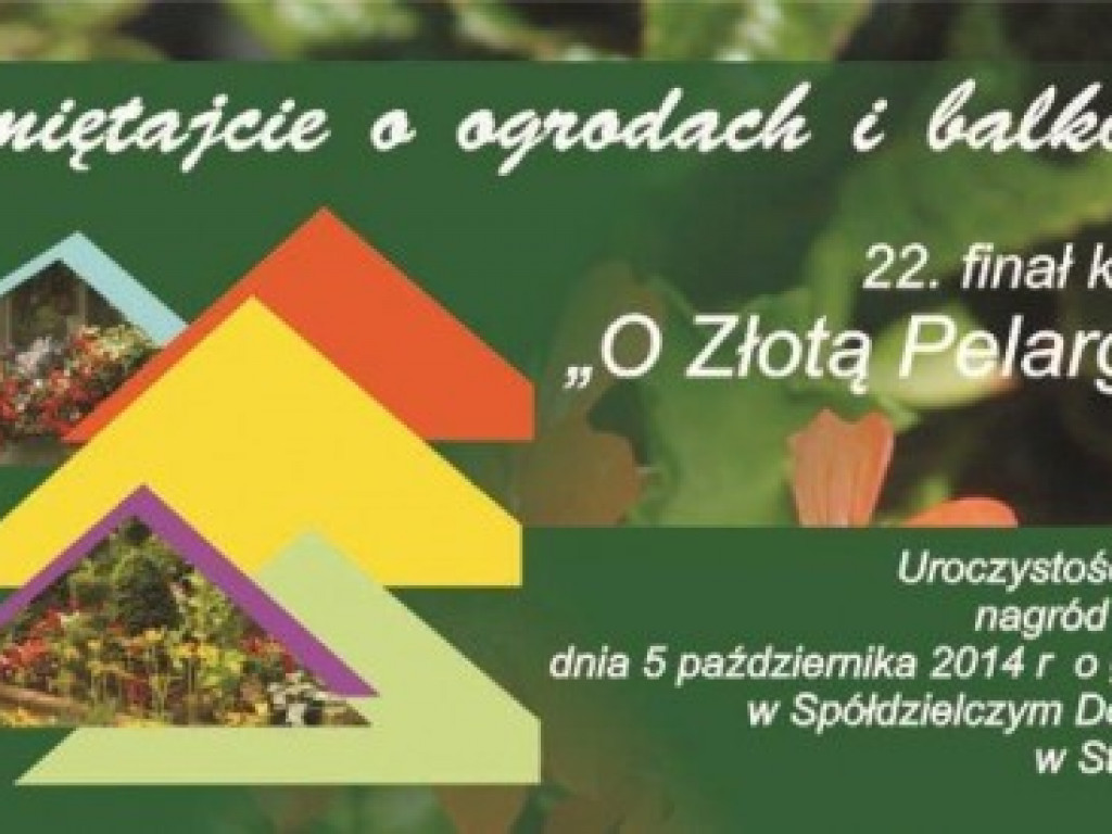 Zapowiedzi imprez 2 - 8 X
