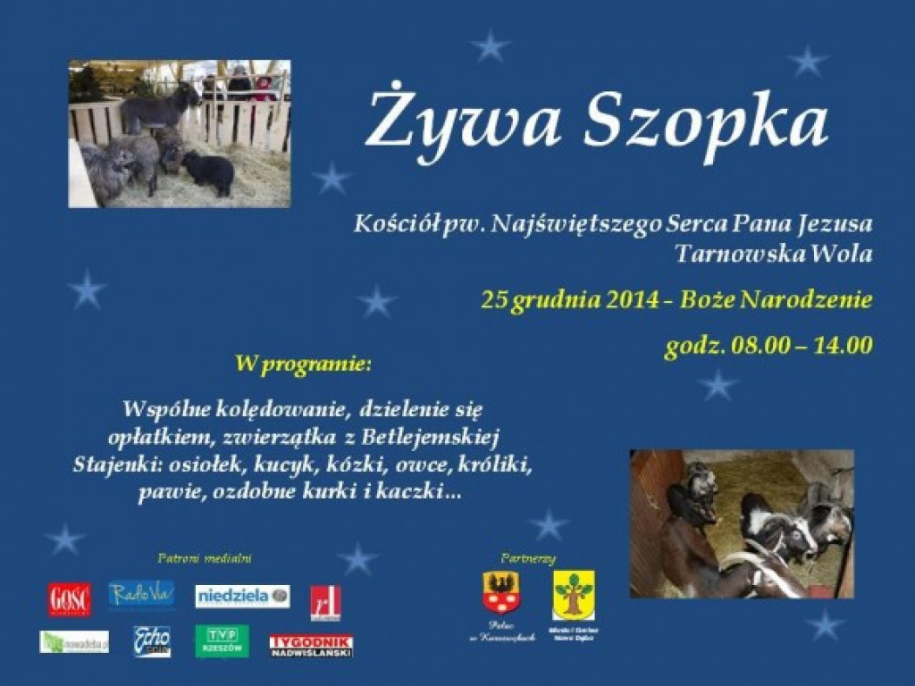 Zapowiedzi imprez 18 XII - 7 I