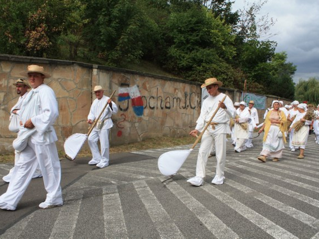 Minister spraw zagranicznych na sandomierskich dożynkach. [Zdjęcia]