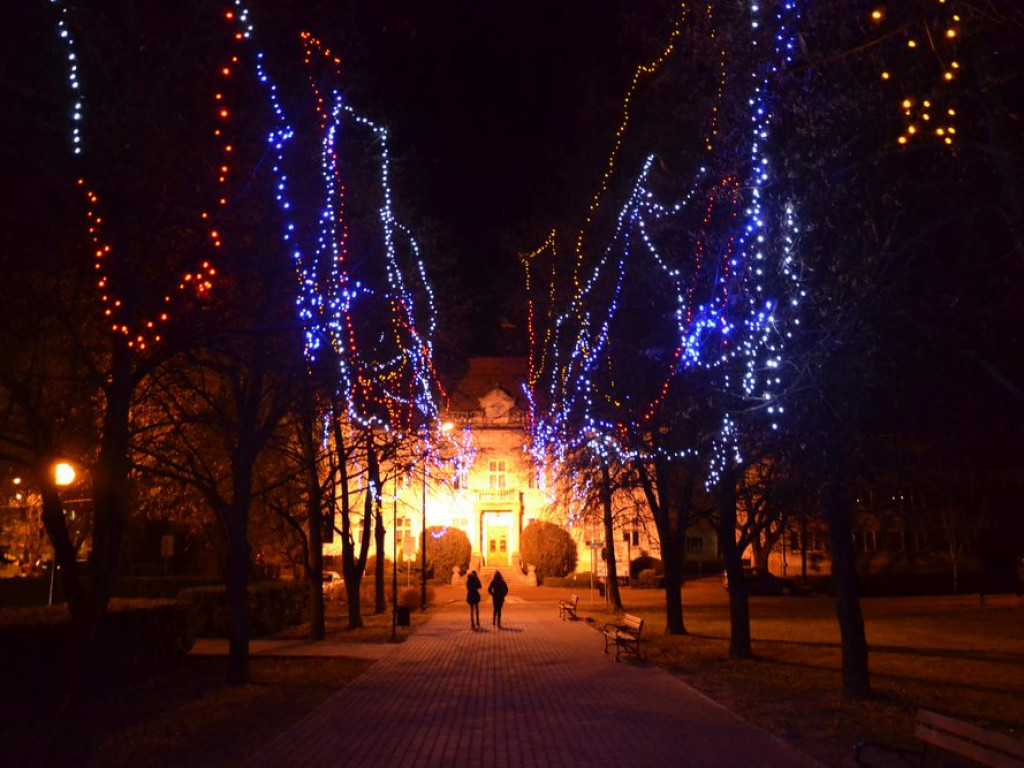 W centrum Tarnobrzega pojawiły się nowe świąteczne ozdoby [ZDJĘCIA!]