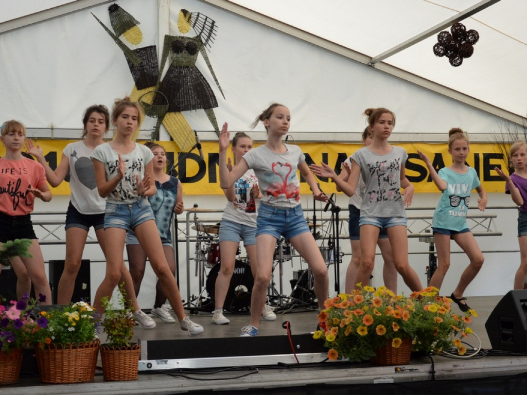 Wiklina 2016 w Rudniku nad Sanem [Zdjęcia]