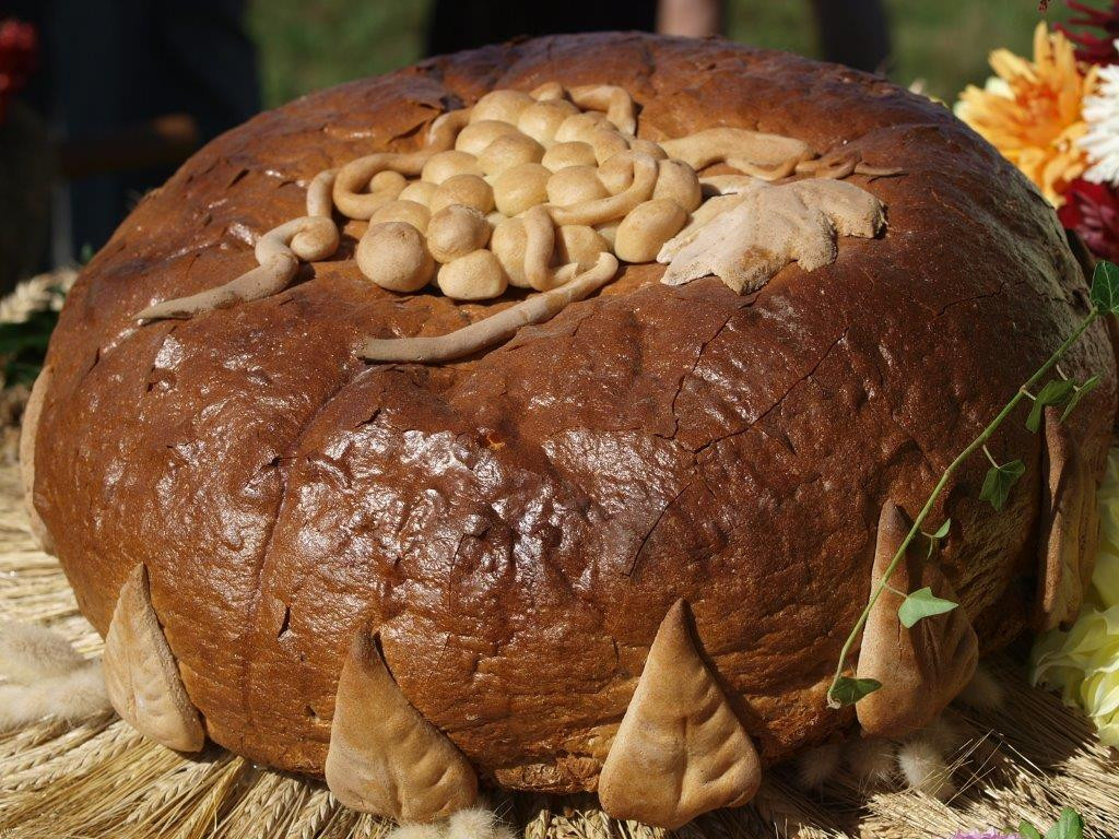 Dożynki po stalowowolsku [Zdjęcia]