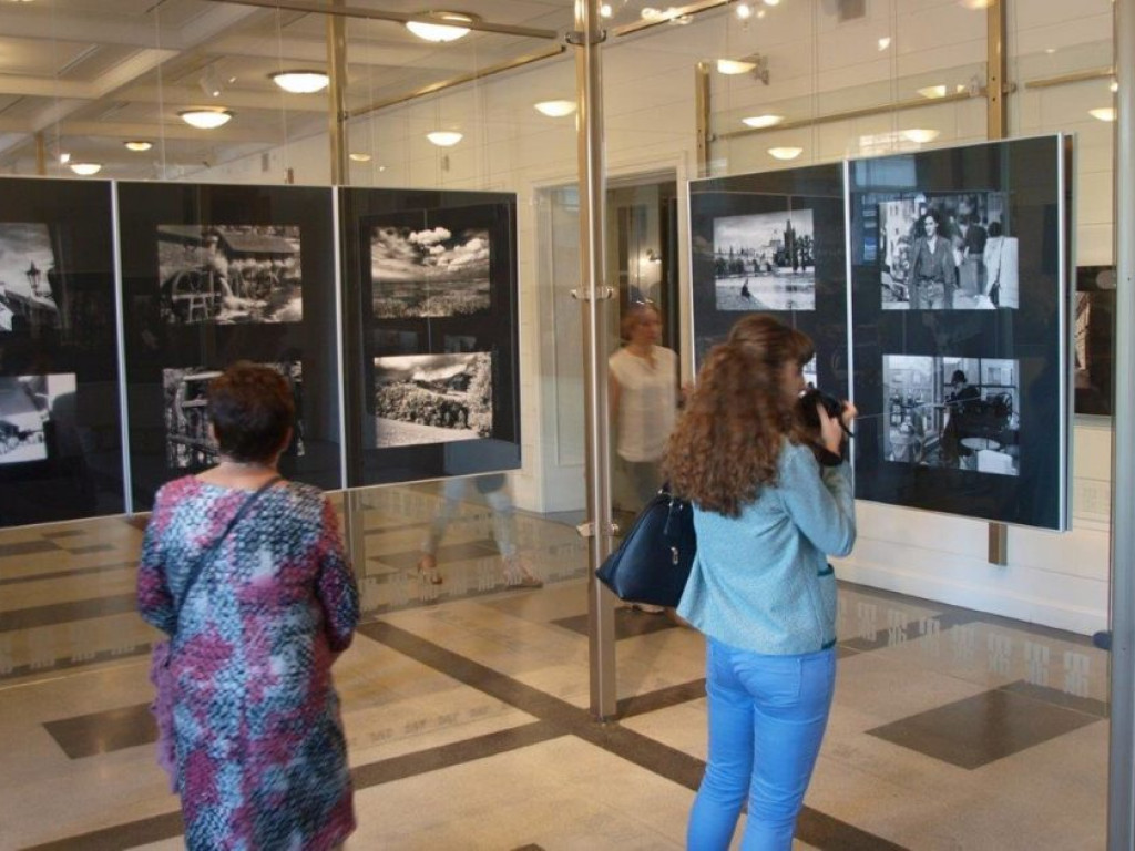 W Stalowej rozszaleli się... seniorzy [ZDJĘCIA]