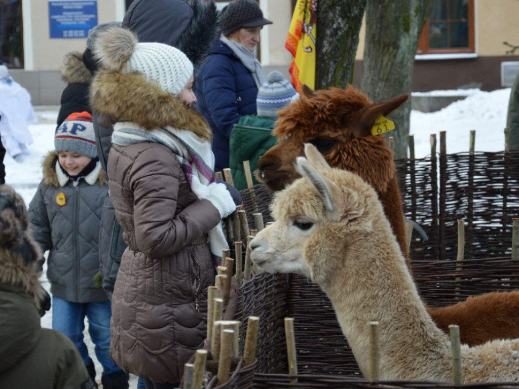 Orszak w Rudniku [ZDJĘCIA]