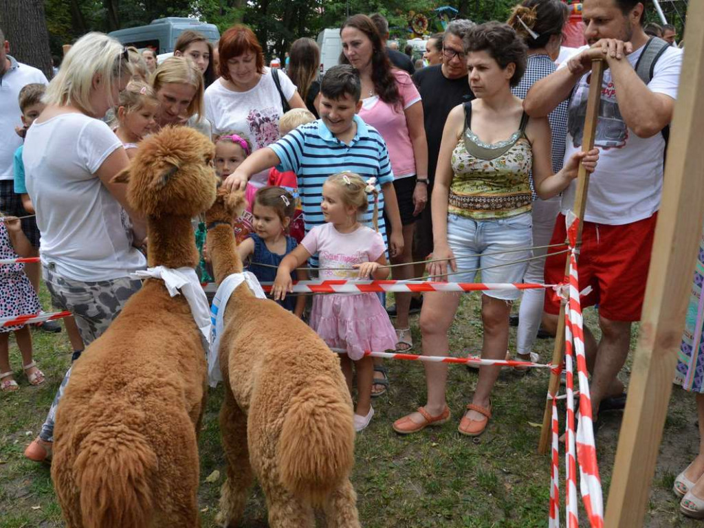?Popołudnie z myśliwymi [Zdjęcia]
