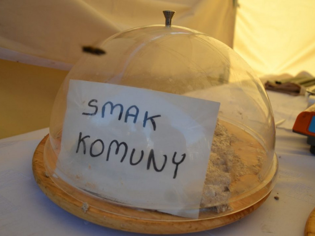 Jarmark Dominikański na tarnobrzeskim rynku [Zdjęcia]