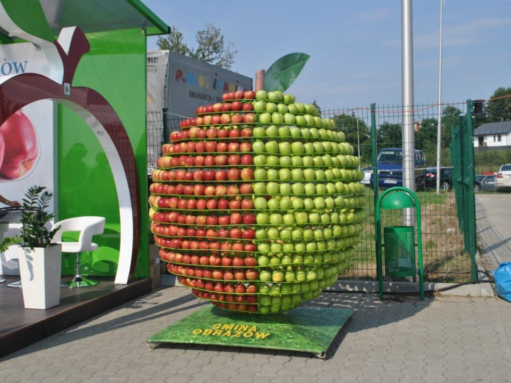 Jabłkowe święto w Obrazowie [Zdjęcia]